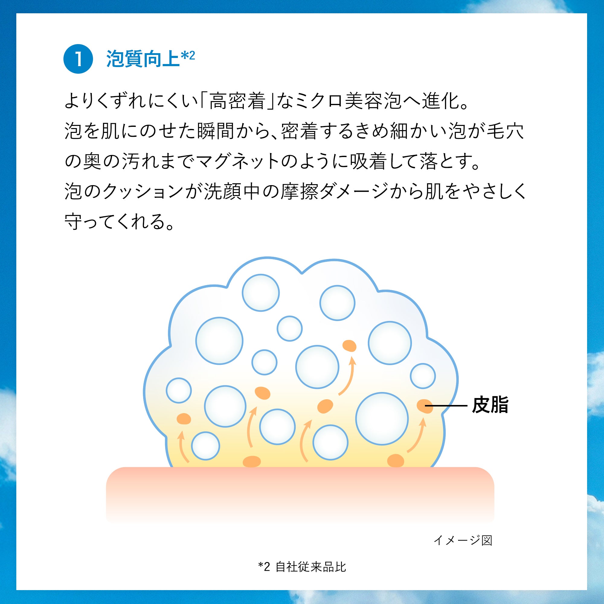 センカ パーフェクトホイップ f – FineToday ONLINE SHOP