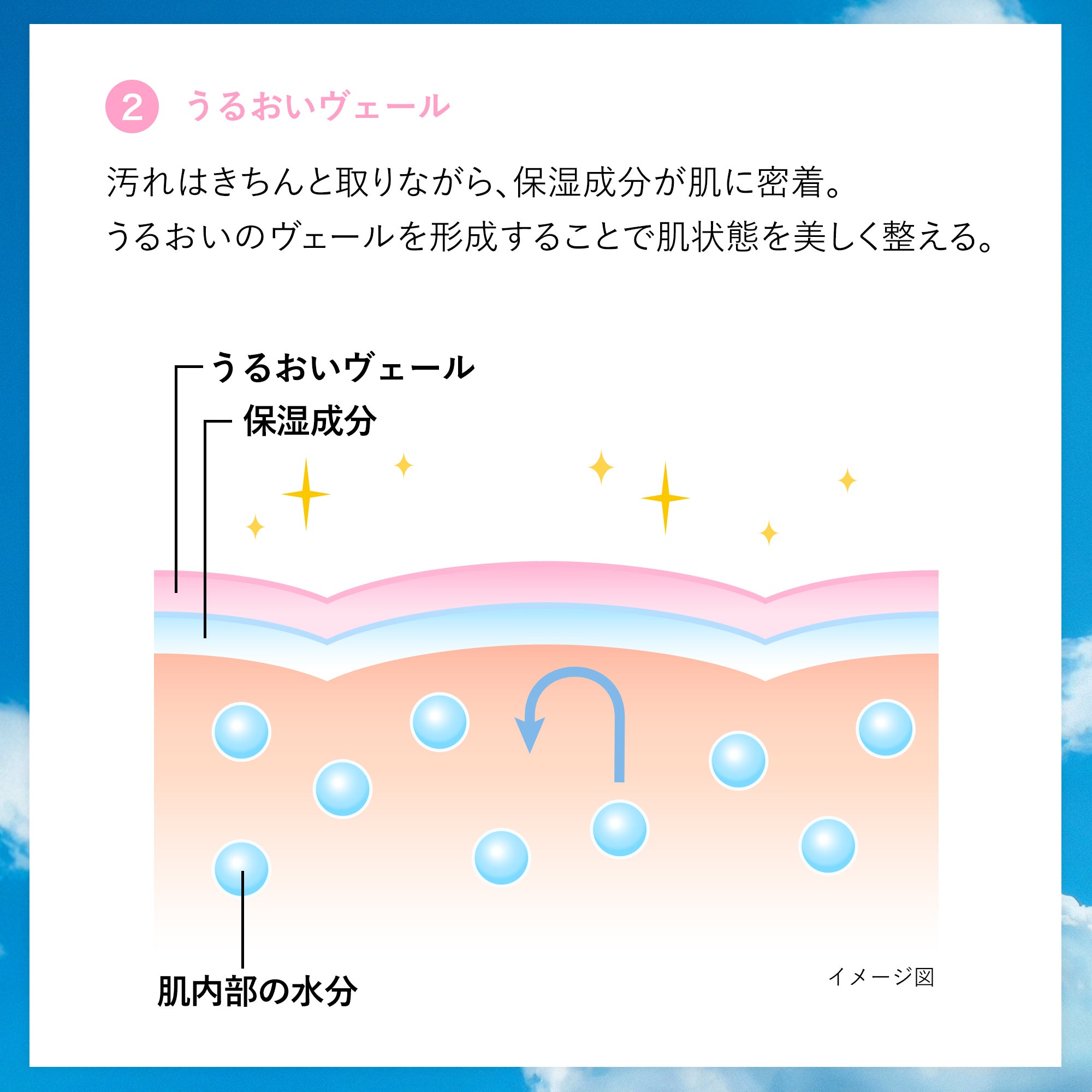 センカ パーフェクトホイップ f – FineToday ONLINE SHOP