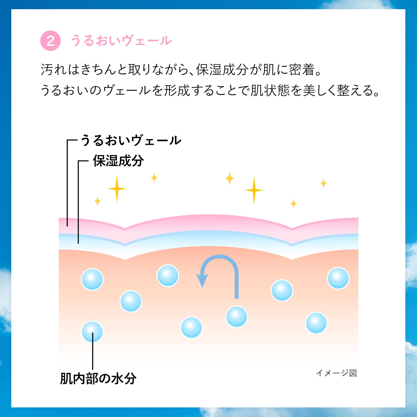 センカ　パーフェクトホイップ　ｆ