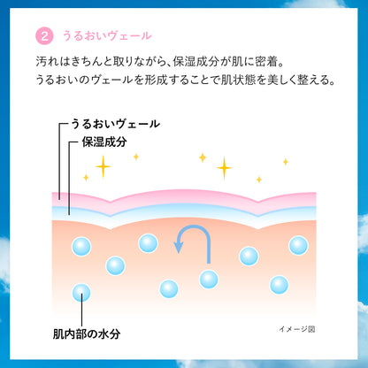 センカ　パーフェクトホイップ　ｆ
