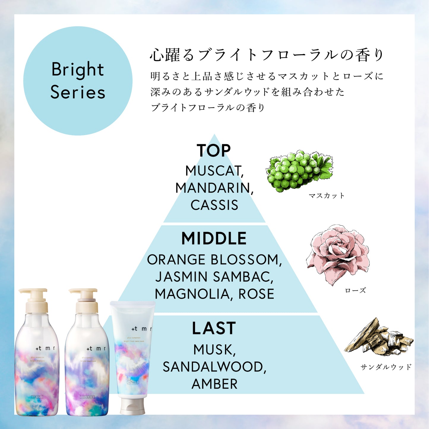 プラストゥモロー　ブライトトライアルセット（パウチ）