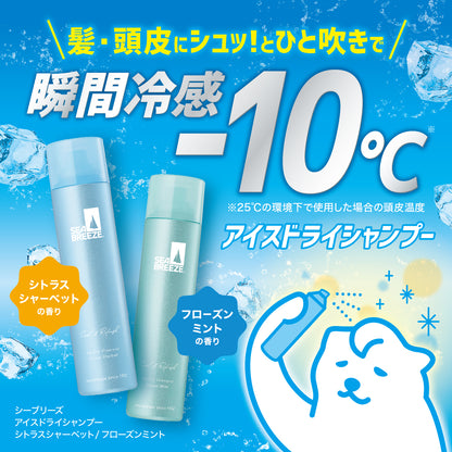 シーブリーズ　アイスドライシャンプー　フローズンミント