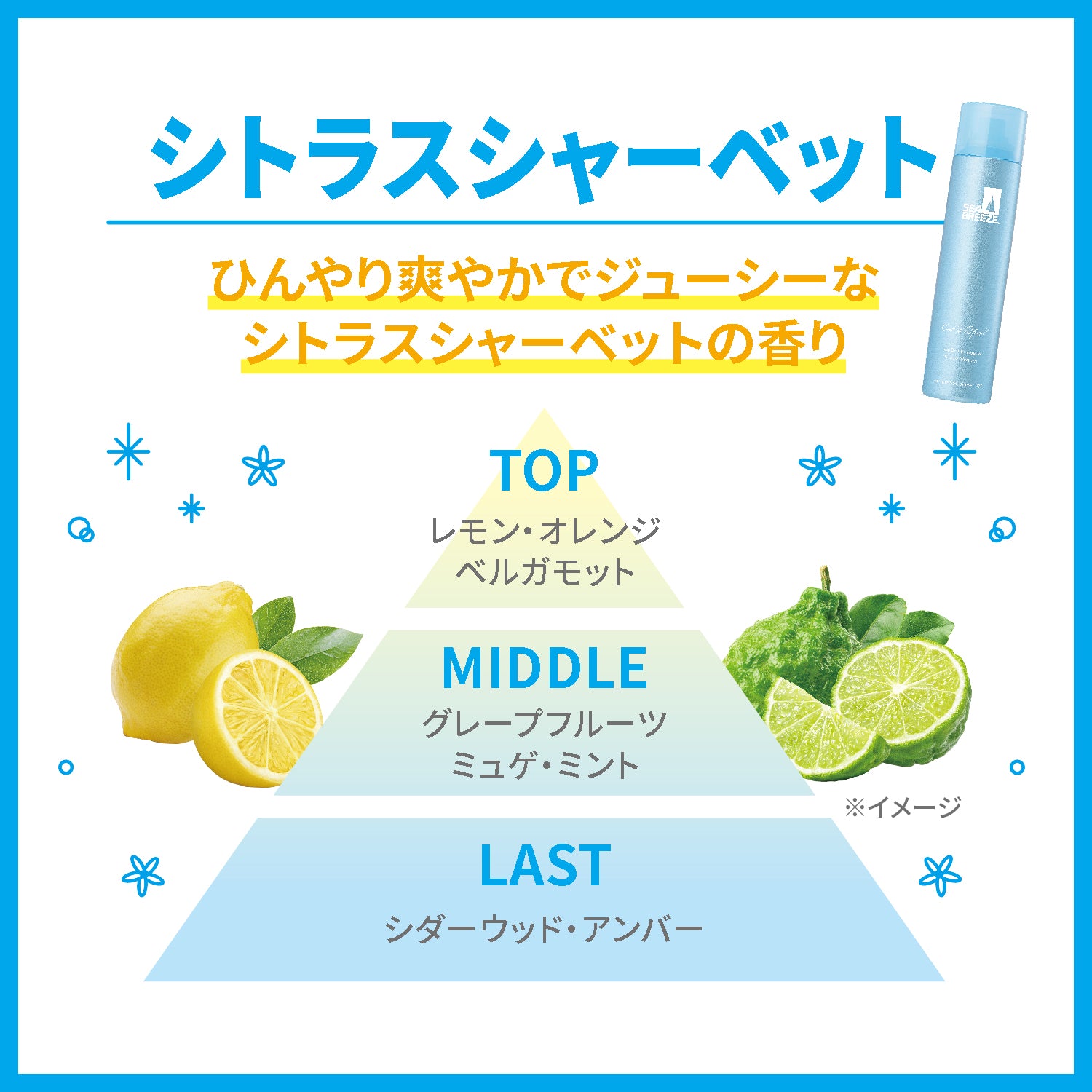 シーブリーズ アイスドライシャンプー シトラスシャーベット