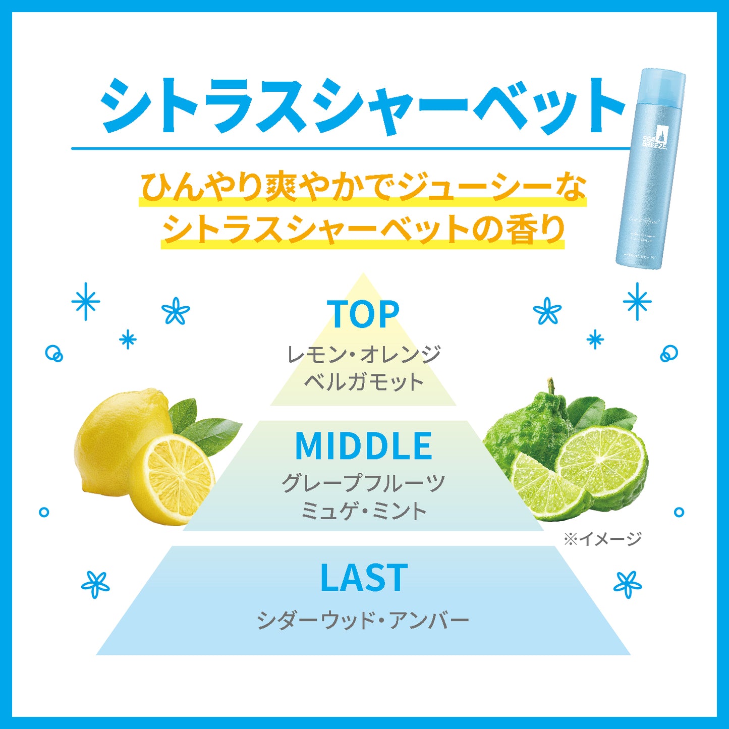 シーブリーズ　アイスドライシャンプー　シトラスシャーベット