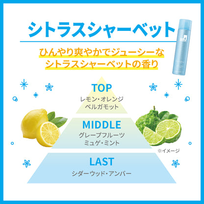 シーブリーズ　アイスドライシャンプー　シトラスシャーベット