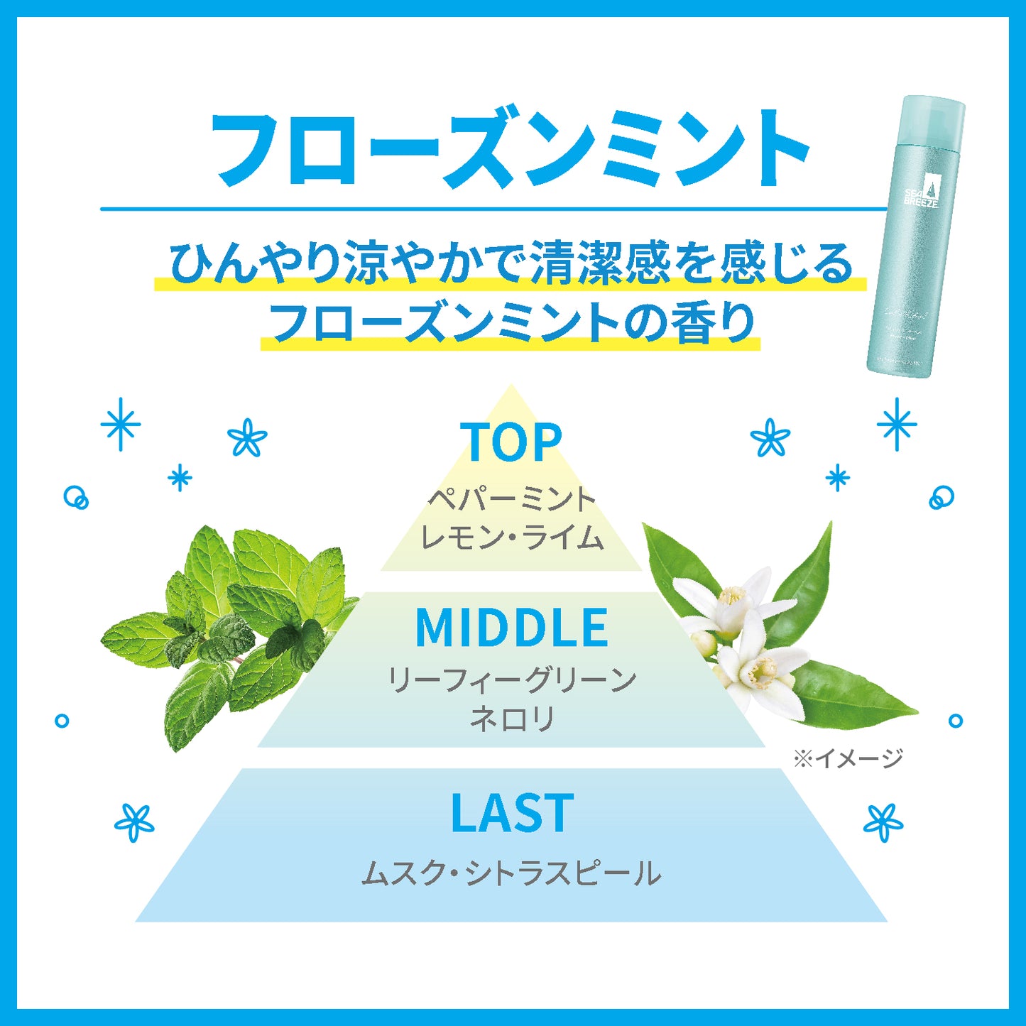 シーブリーズ　アイスドライシャンプー　フローズンミント