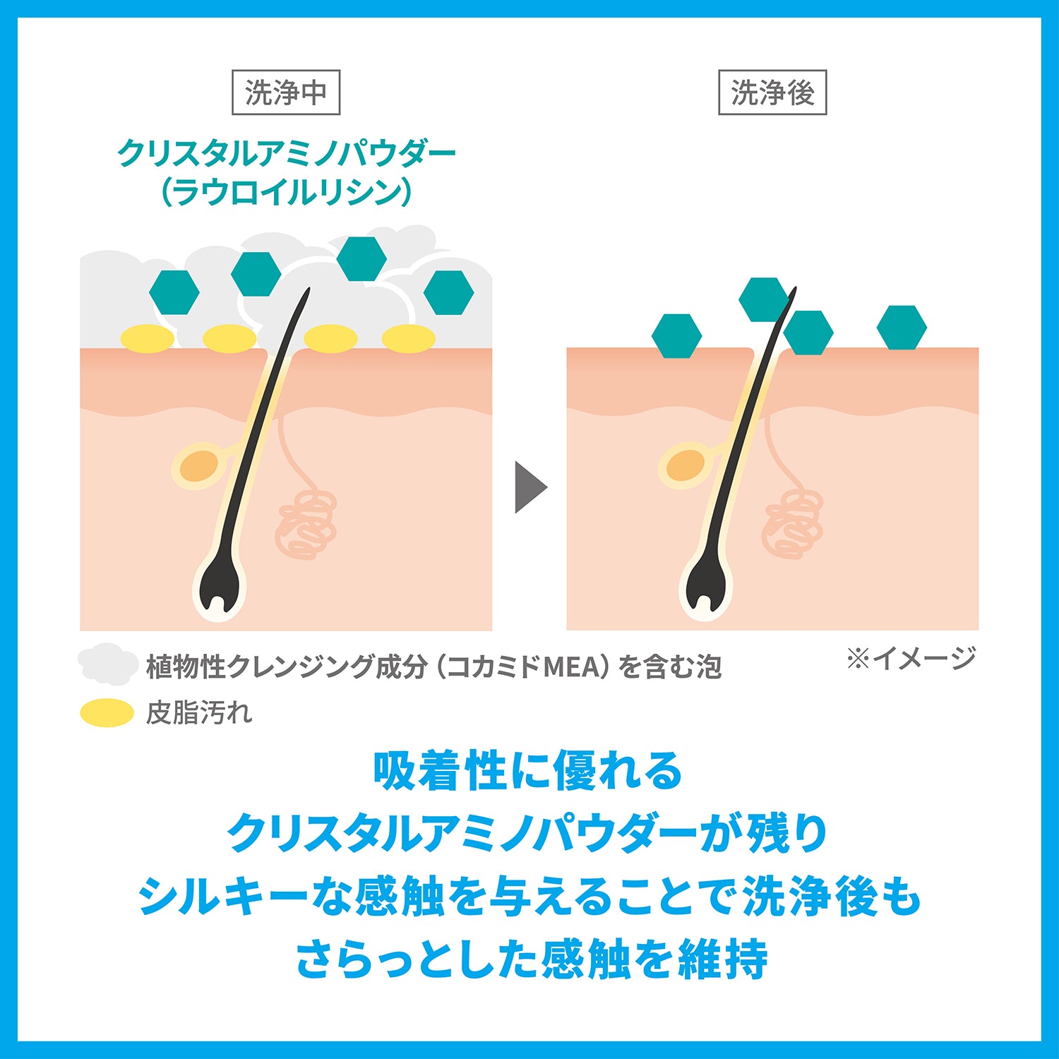 シーブリーズ リンスインシャンプー f 330（レフィル