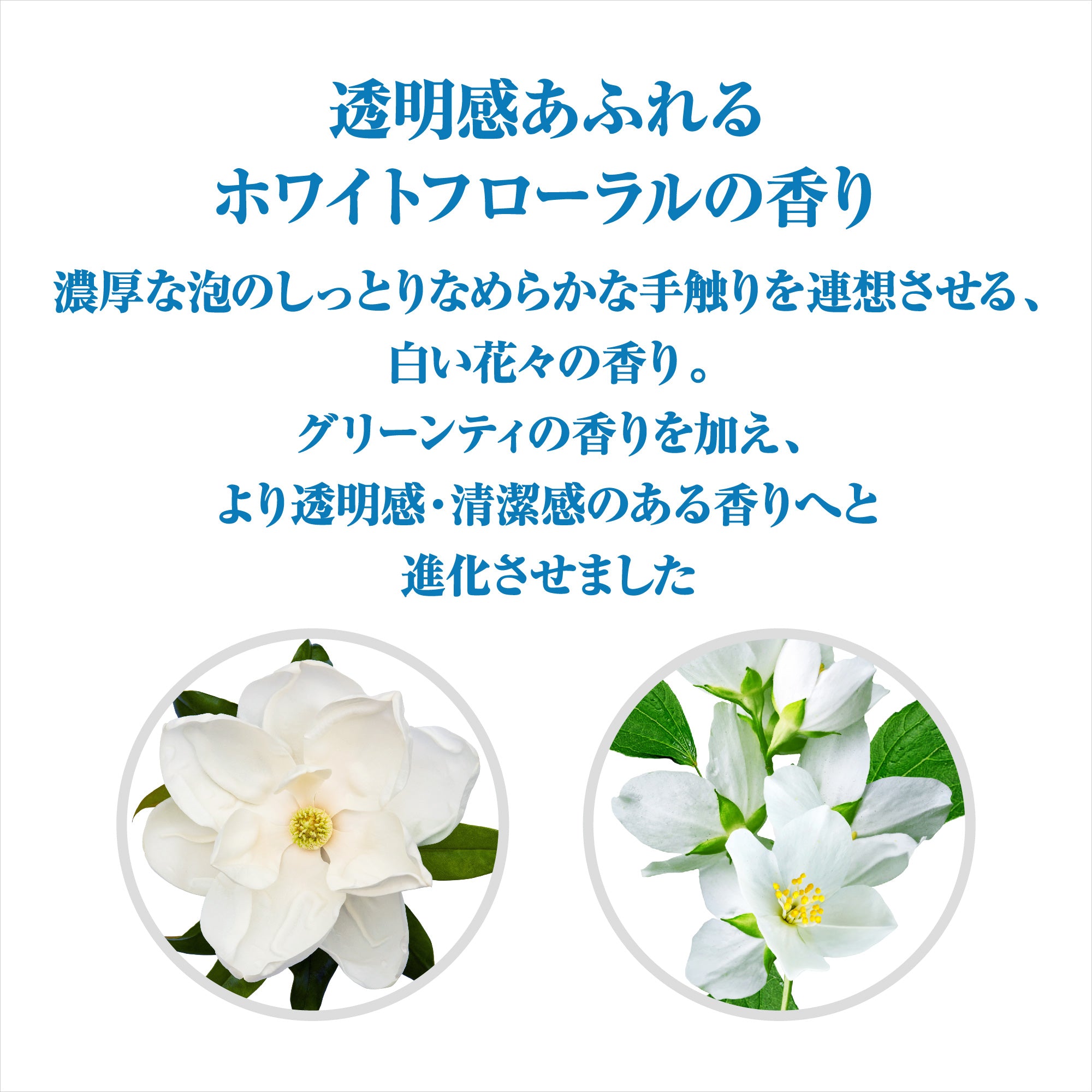 センカ パーフェクトホイップ スピーディー f つめかえ用