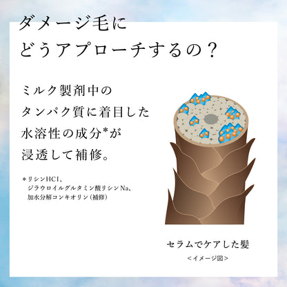 プラストゥモロー　オーバーナイト　ヘアセラム　80ｍL